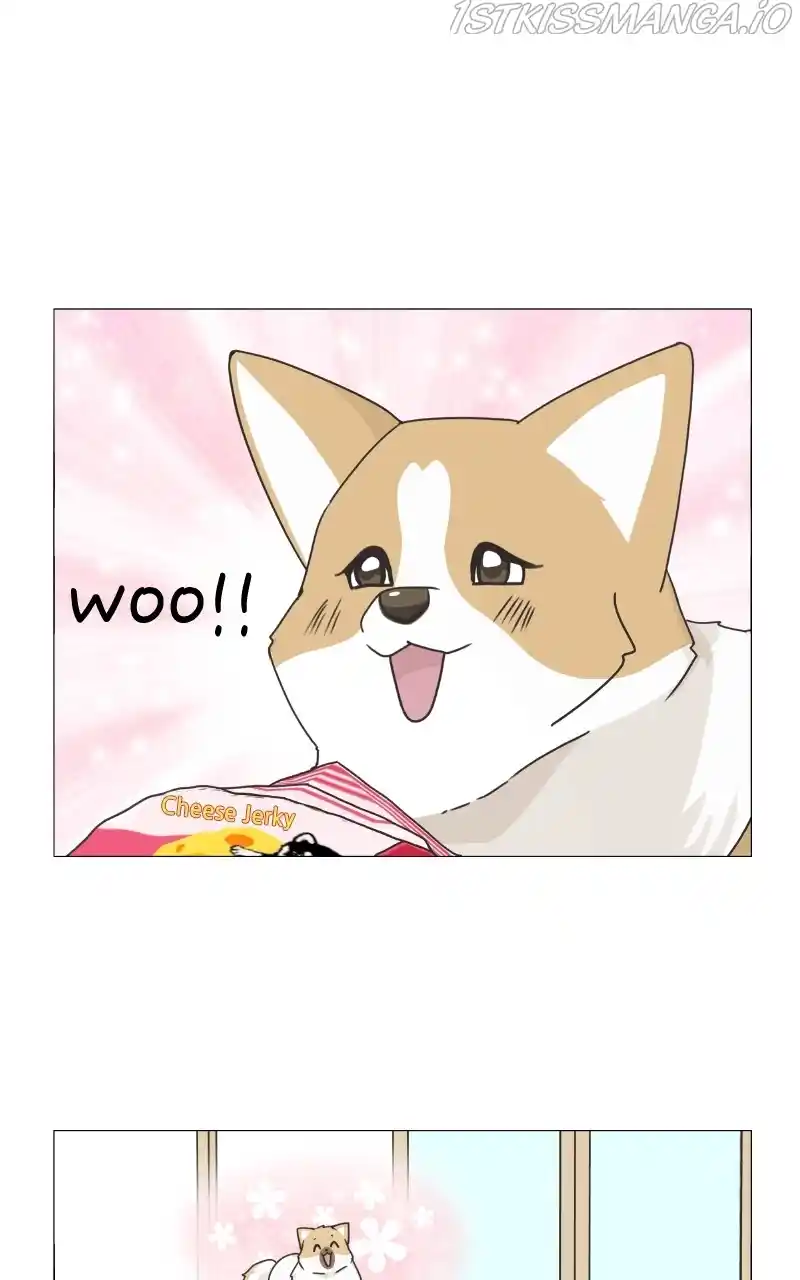 The Dog Diaries Chapter 82