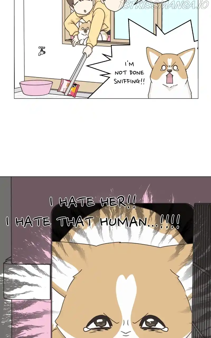 The Dog Diaries Chapter 82