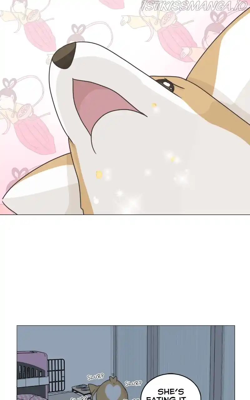 The Dog Diaries Chapter 82