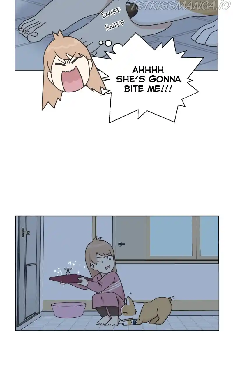 The Dog Diaries Chapter 82