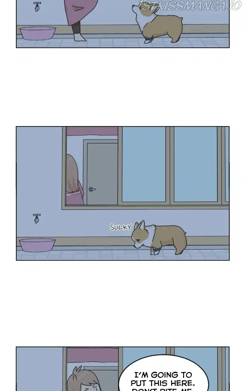 The Dog Diaries Chapter 82