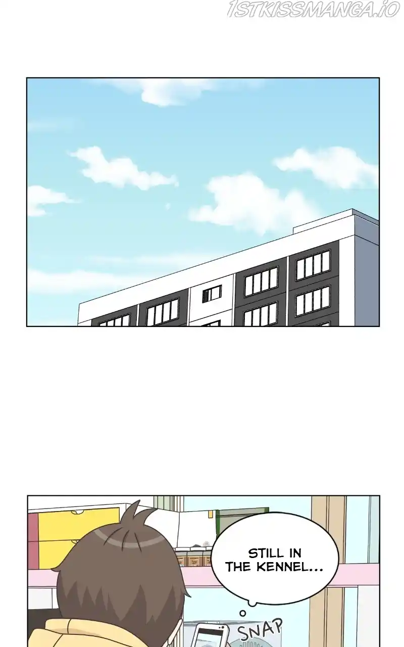 The Dog Diaries Chapter 82