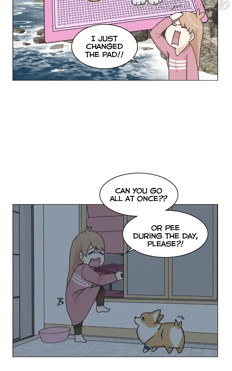 The Dog Diaries Chapter 83