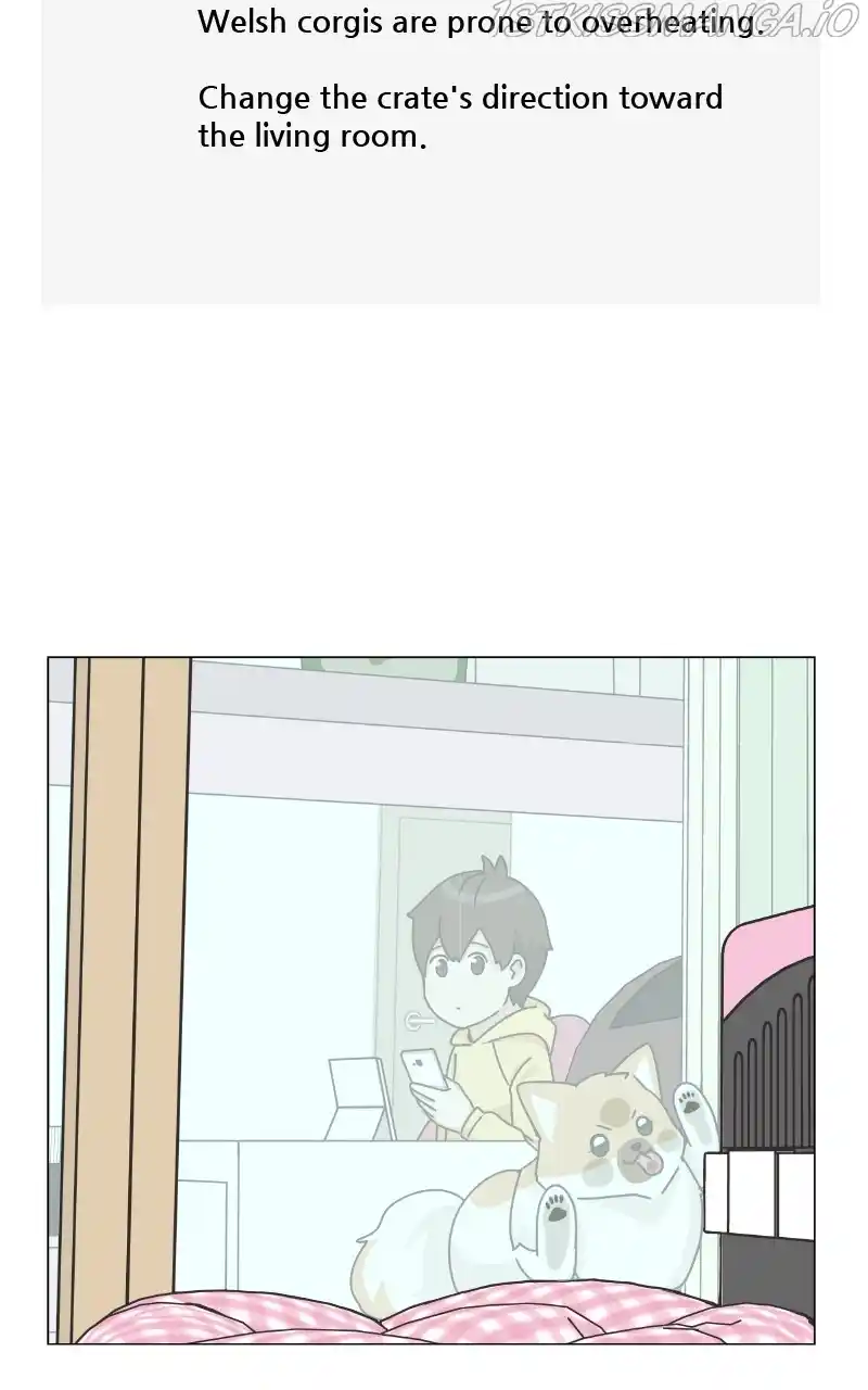 The Dog Diaries Chapter 83