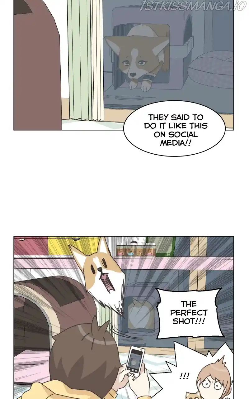 The Dog Diaries Chapter 83