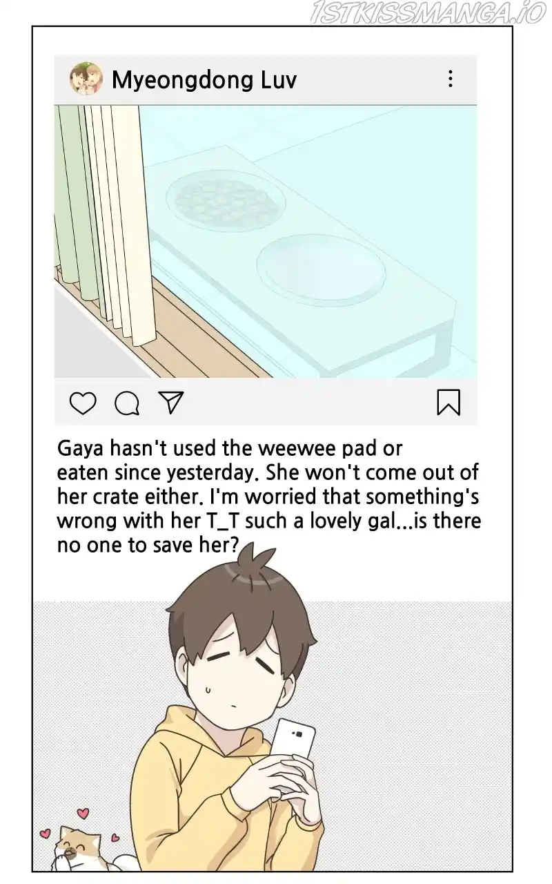 The Dog Diaries Chapter 83