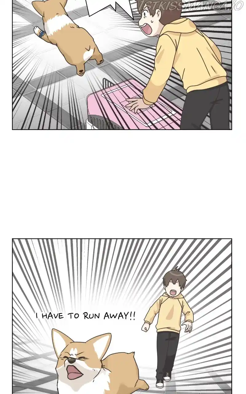 The Dog Diaries Chapter 84