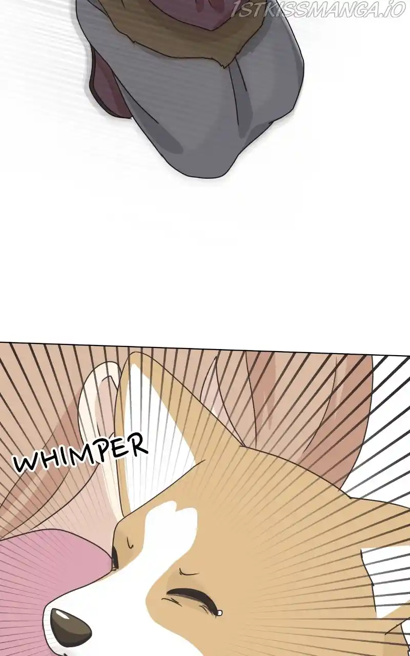 The Dog Diaries Chapter 84
