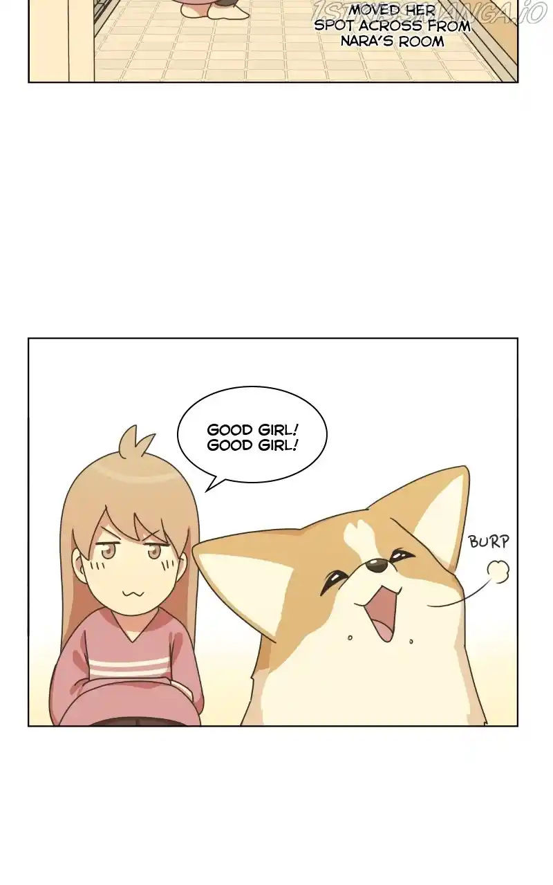 The Dog Diaries Chapter 84