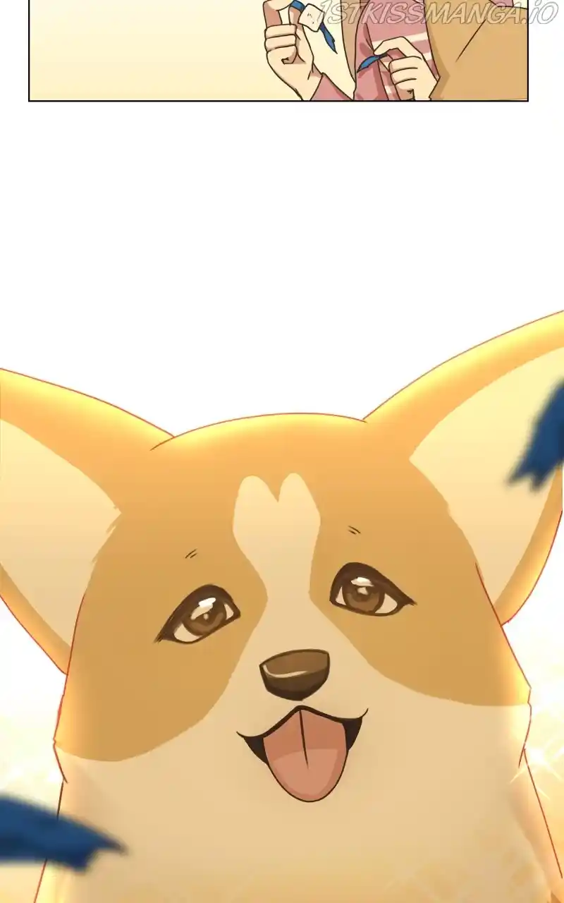 The Dog Diaries Chapter 84