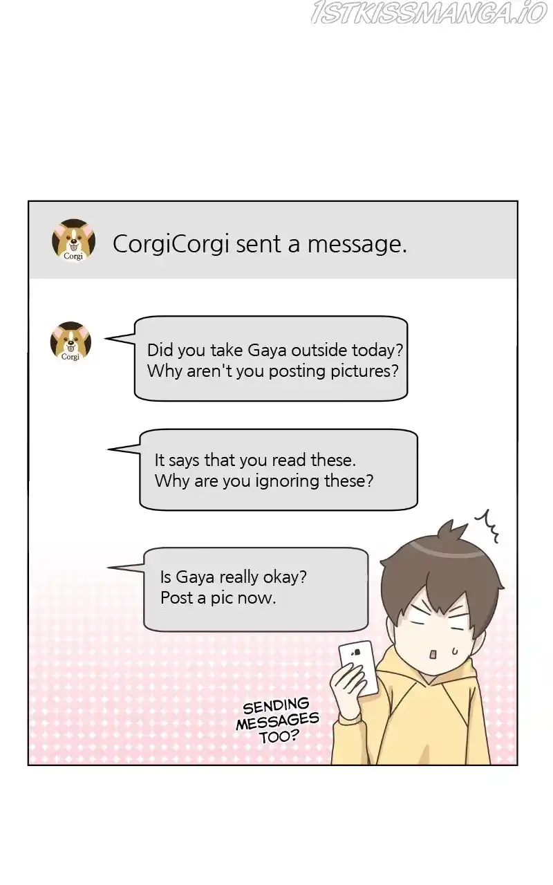 The Dog Diaries Chapter 84