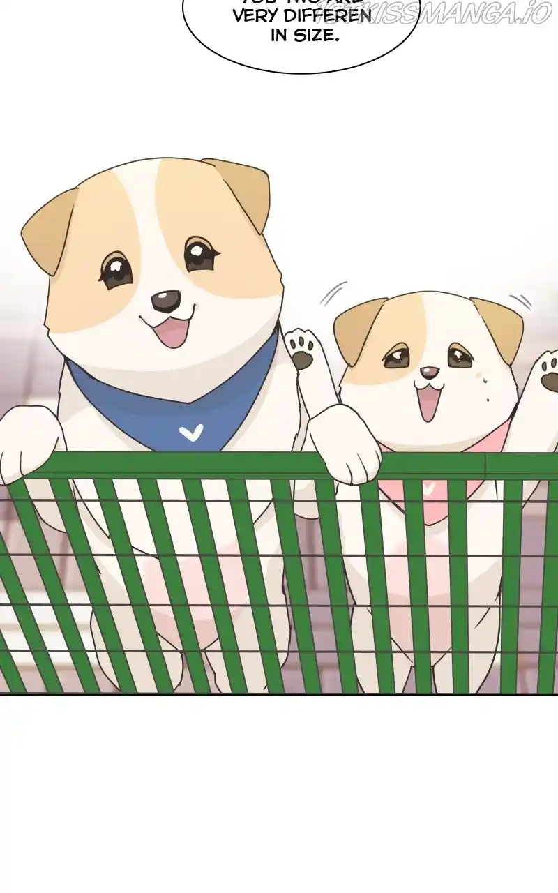 The Dog Diaries Chapter 84