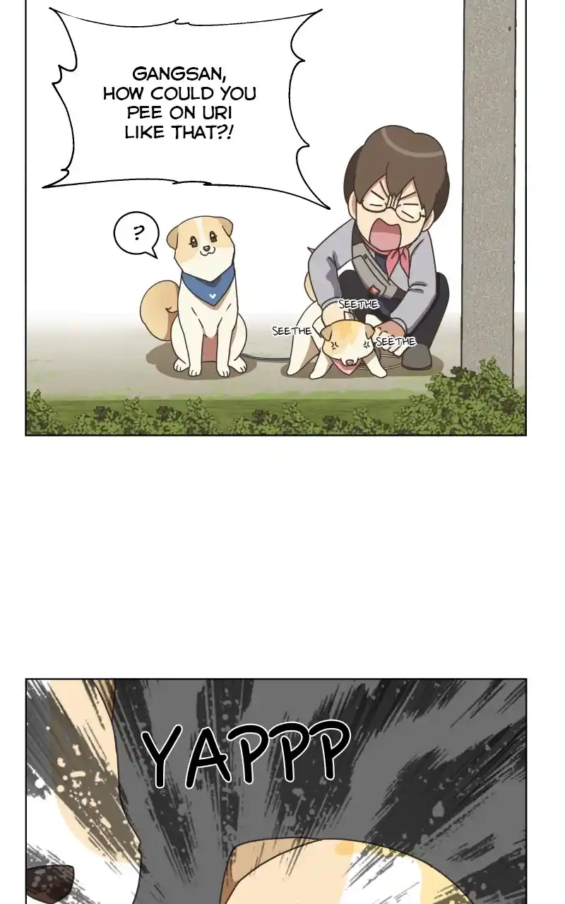 The Dog Diaries Chapter 85