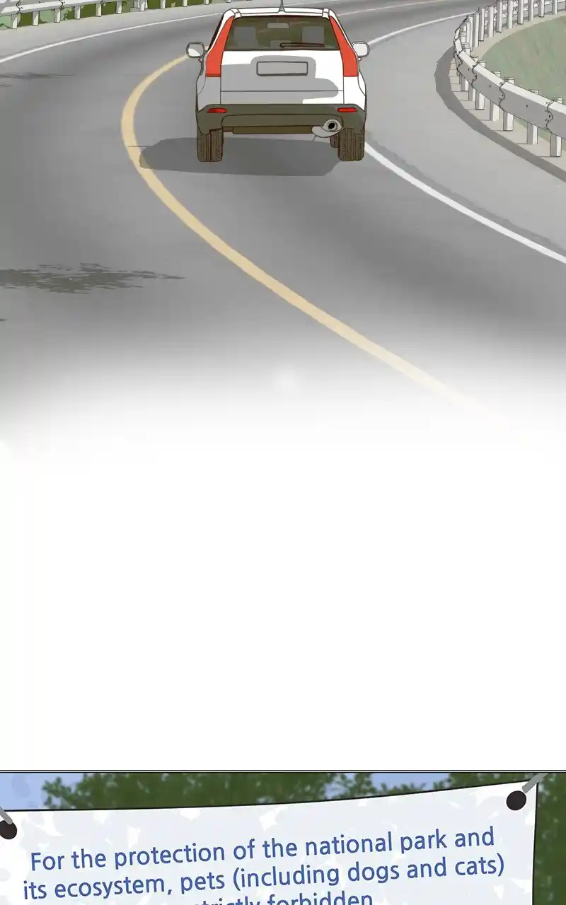 The Dog Diaries Chapter 85