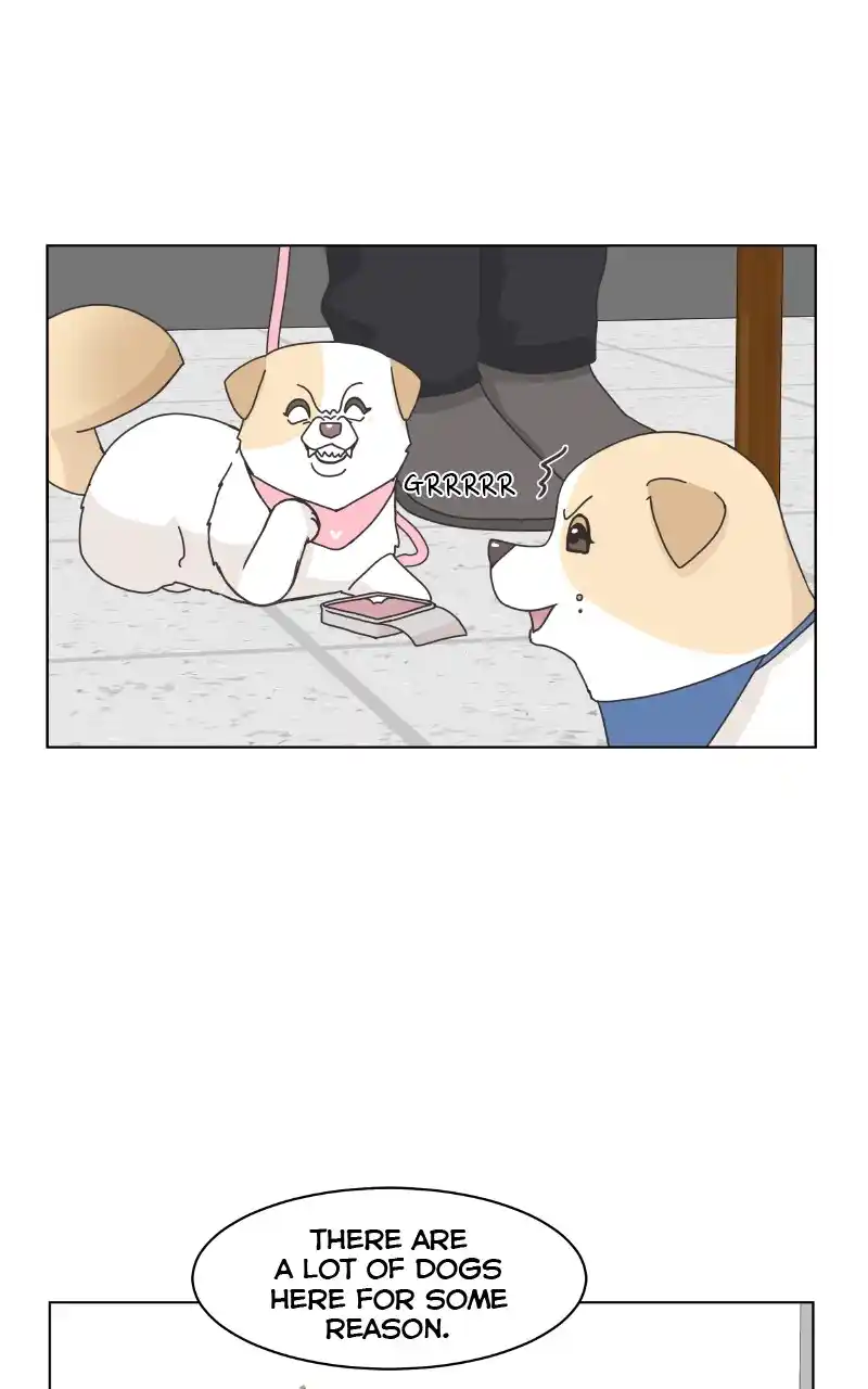The Dog Diaries Chapter 85