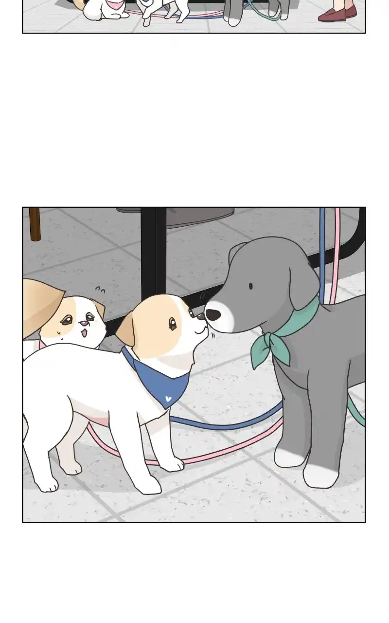 The Dog Diaries Chapter 85