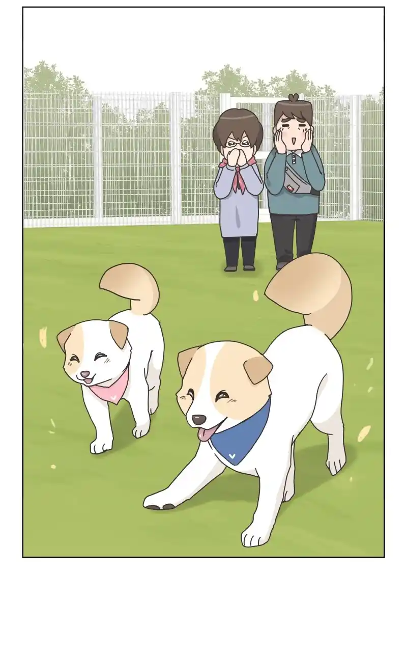 The Dog Diaries Chapter 85