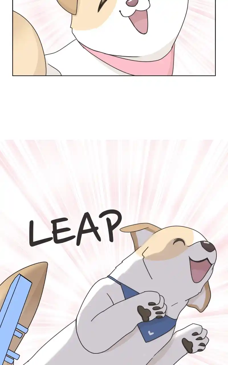 The Dog Diaries Chapter 85