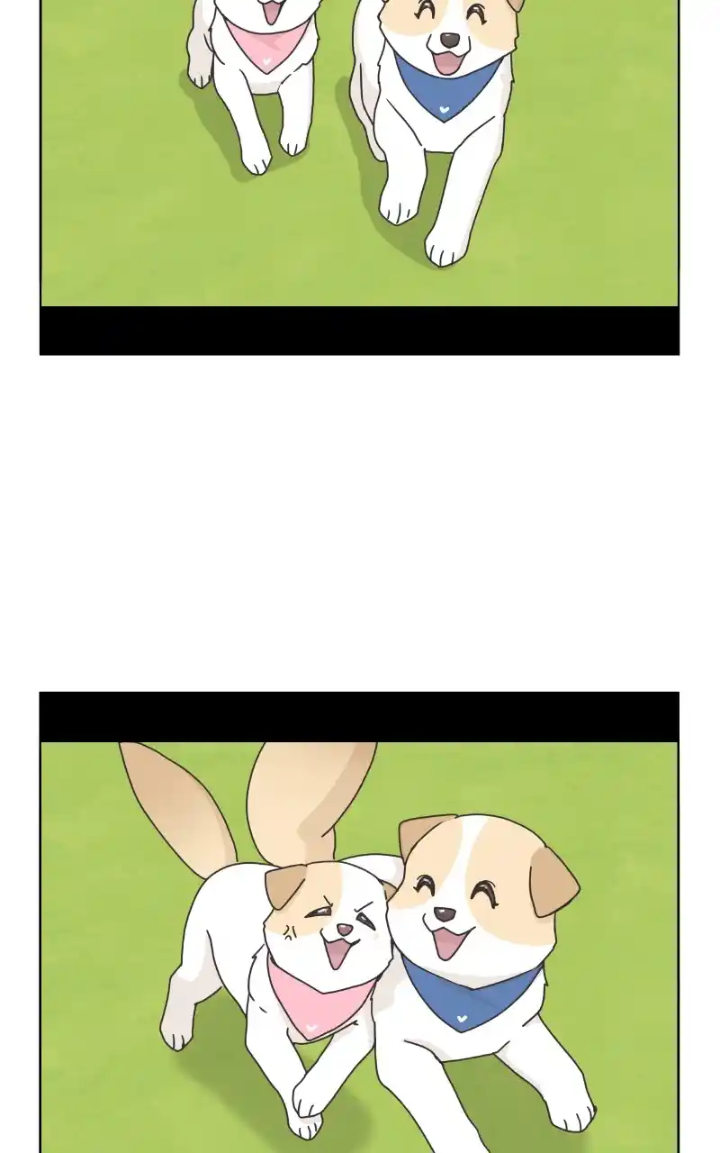 The Dog Diaries Chapter 86