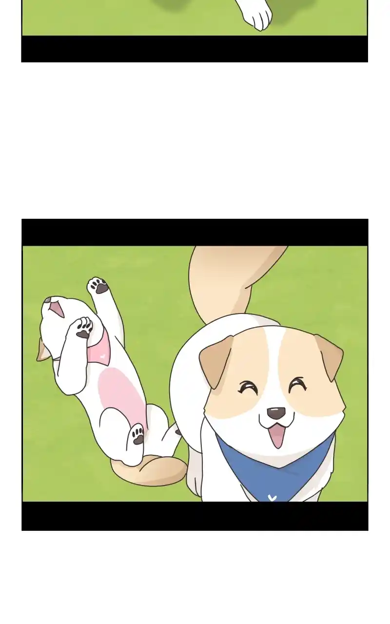 The Dog Diaries Chapter 86