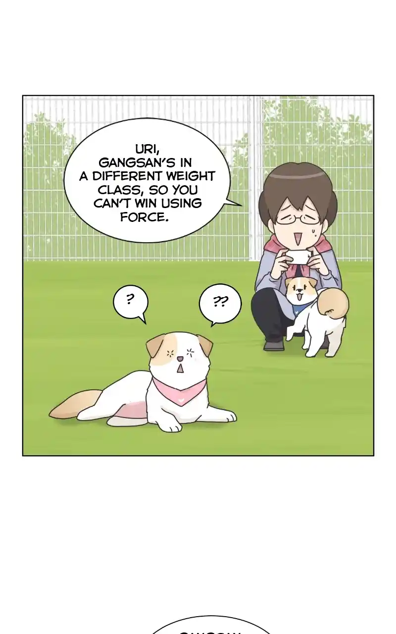 The Dog Diaries Chapter 86