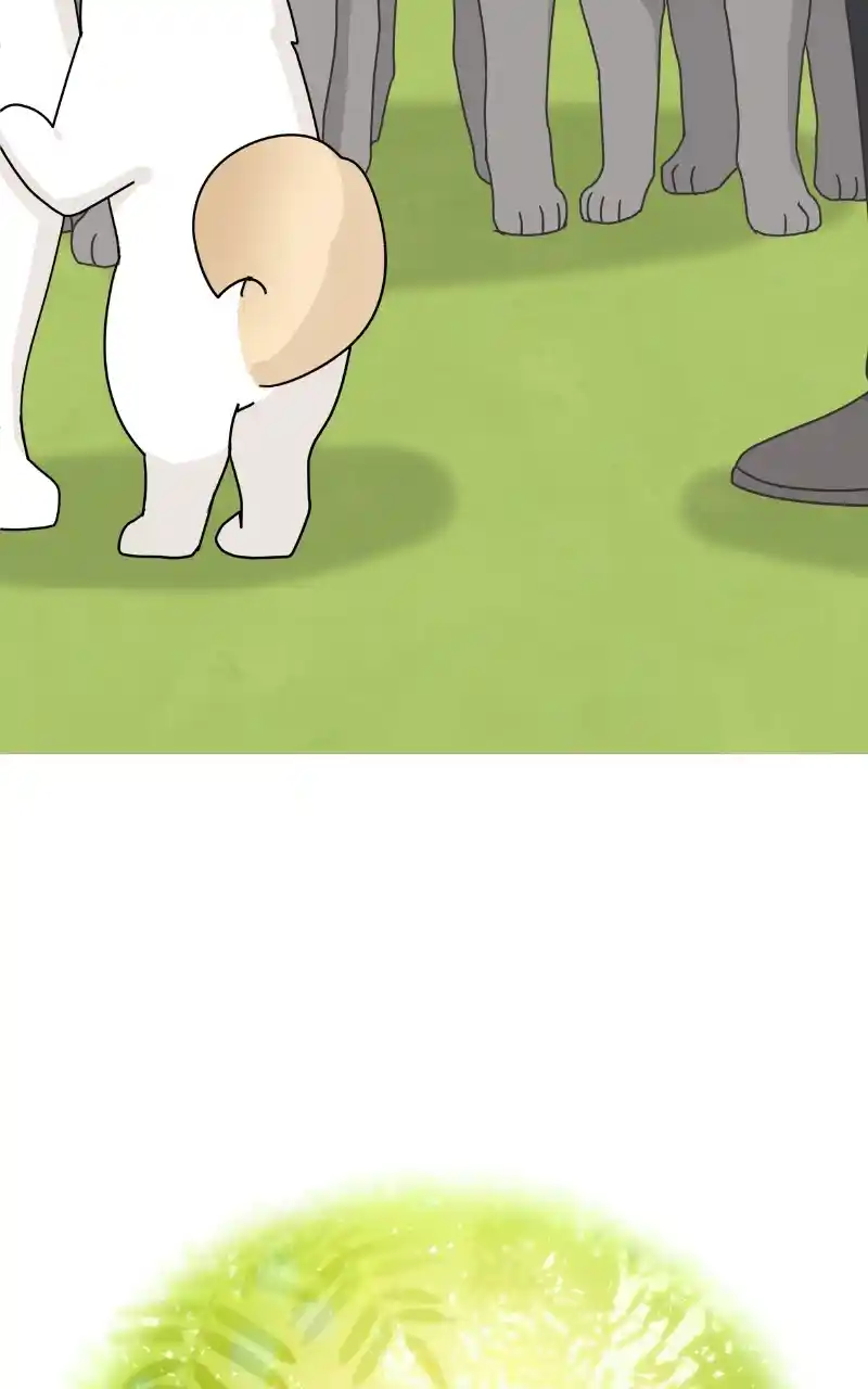 The Dog Diaries Chapter 86