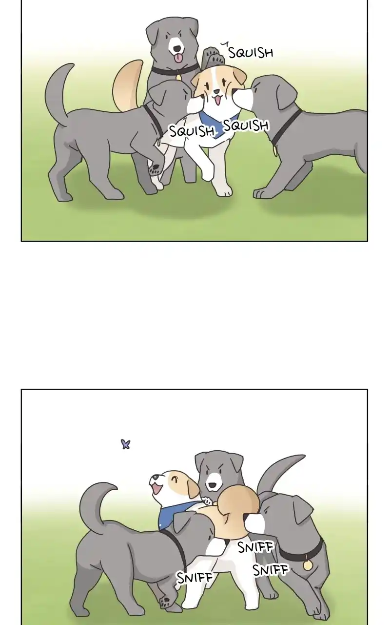 The Dog Diaries Chapter 86