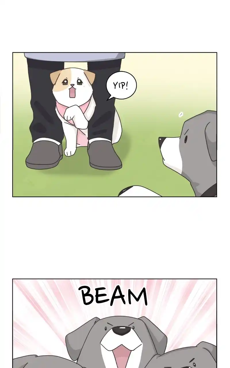 The Dog Diaries Chapter 86