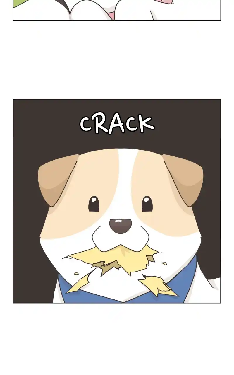 The Dog Diaries Chapter 86
