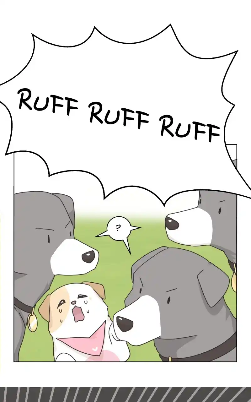 The Dog Diaries Chapter 86