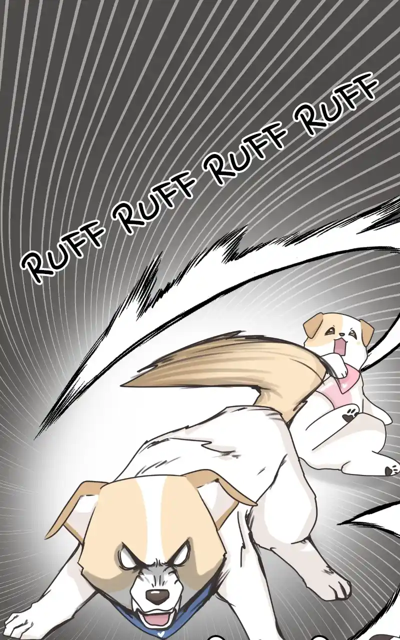 The Dog Diaries Chapter 86