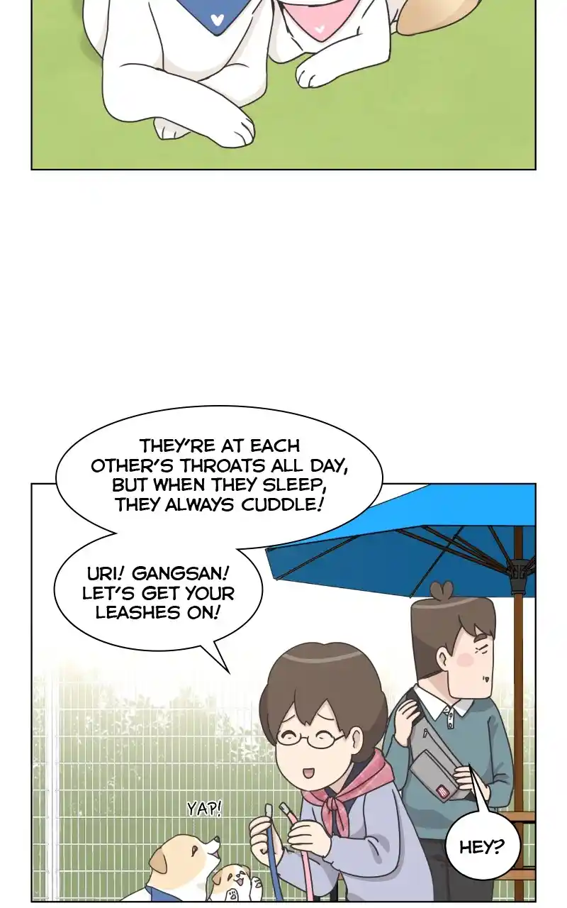 The Dog Diaries Chapter 87