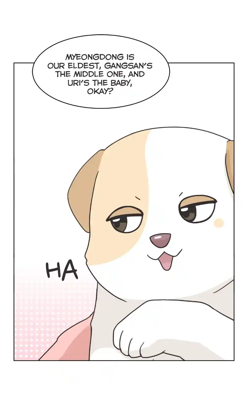 The Dog Diaries Chapter 87