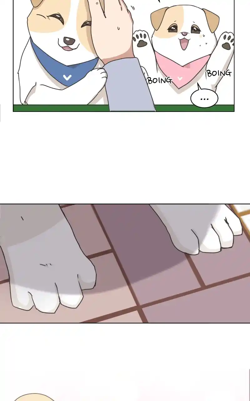 The Dog Diaries Chapter 87