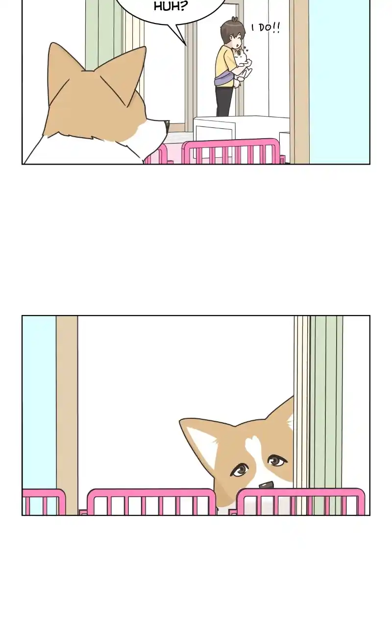 The Dog Diaries Chapter 88