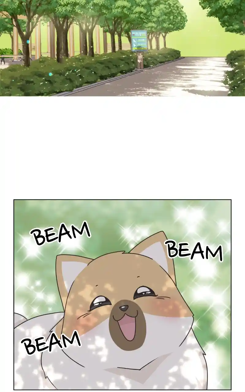 The Dog Diaries Chapter 88