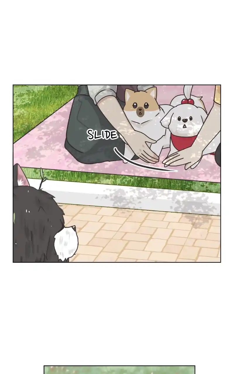 The Dog Diaries Chapter 88