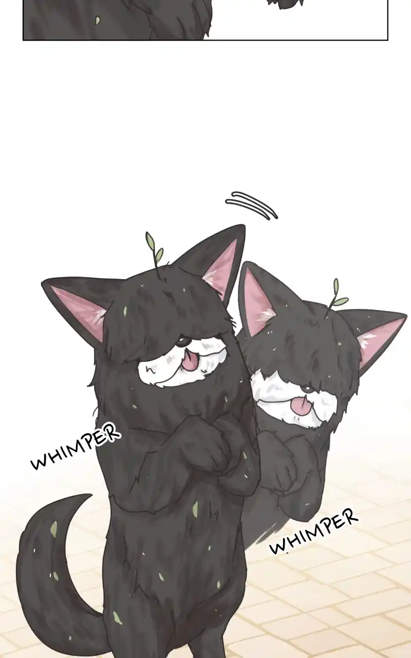 The Dog Diaries Chapter 88