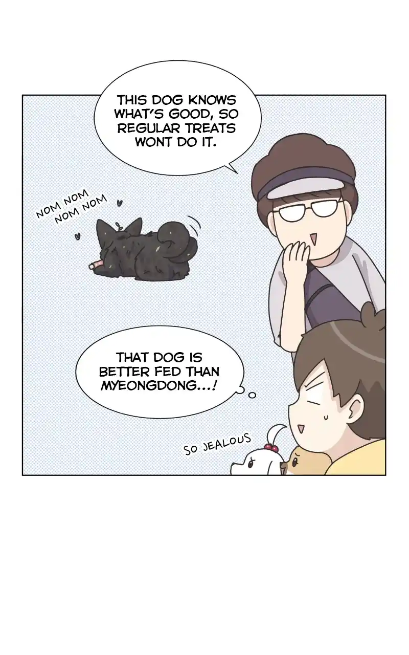 The Dog Diaries Chapter 88