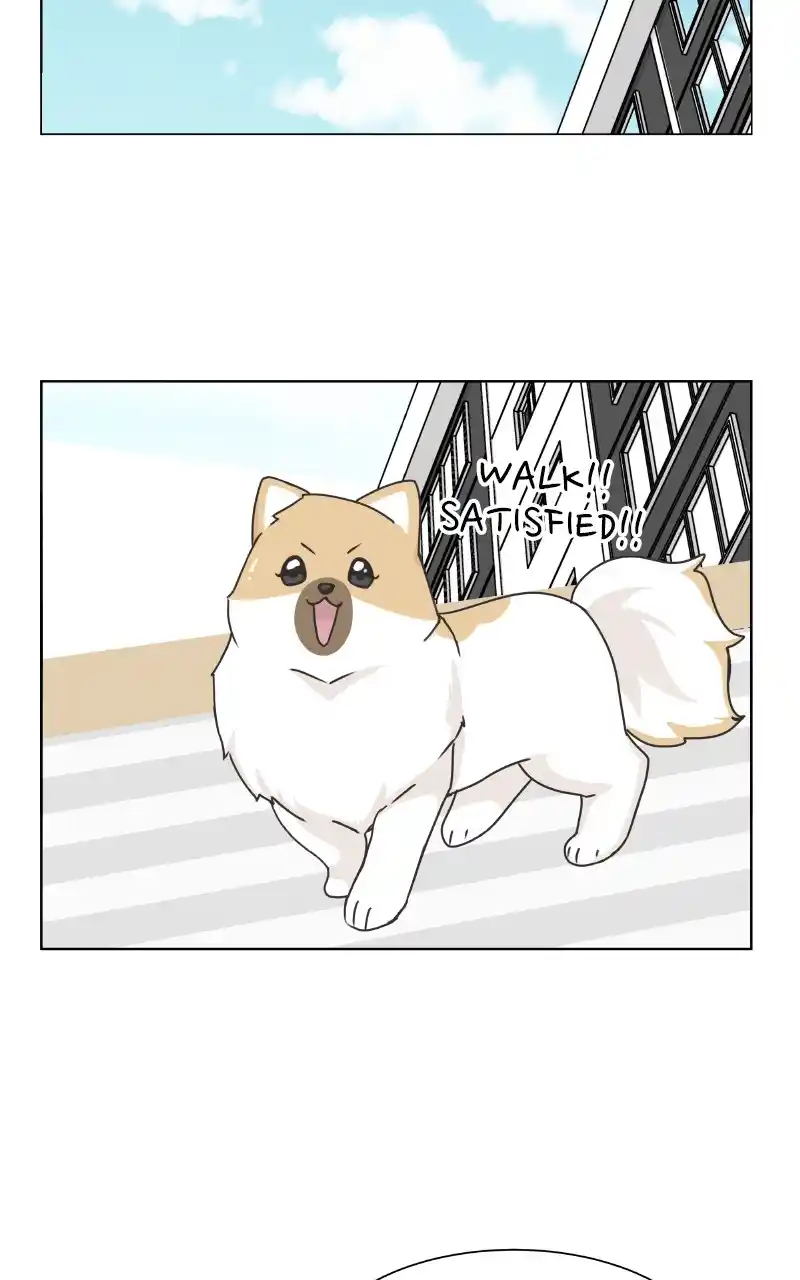 The Dog Diaries Chapter 88