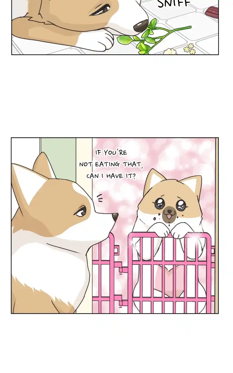 The Dog Diaries Chapter 88