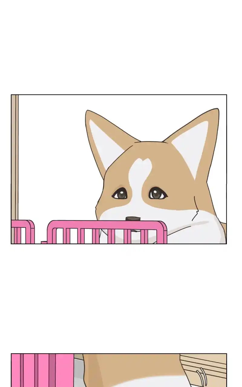 The Dog Diaries Chapter 88