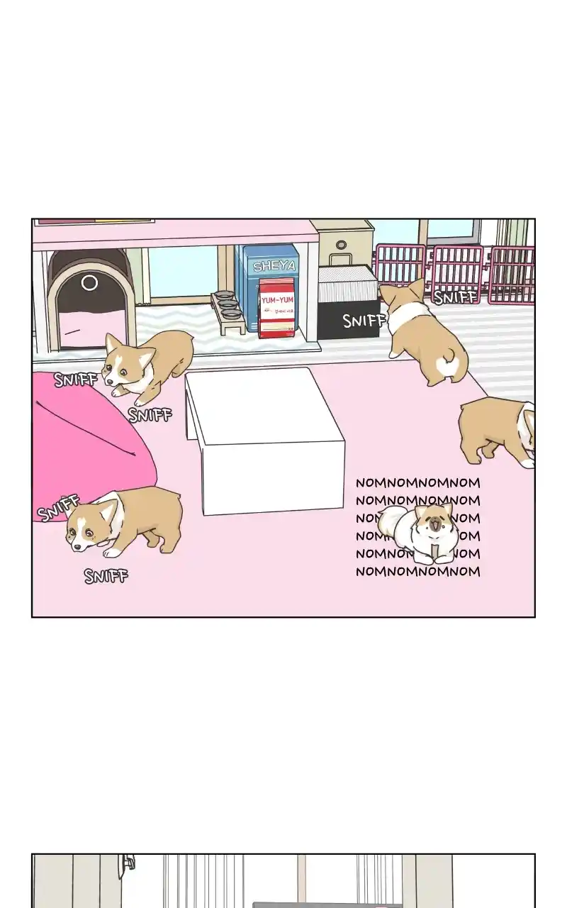 The Dog Diaries Chapter 89