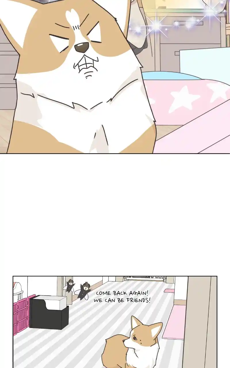 The Dog Diaries Chapter 89