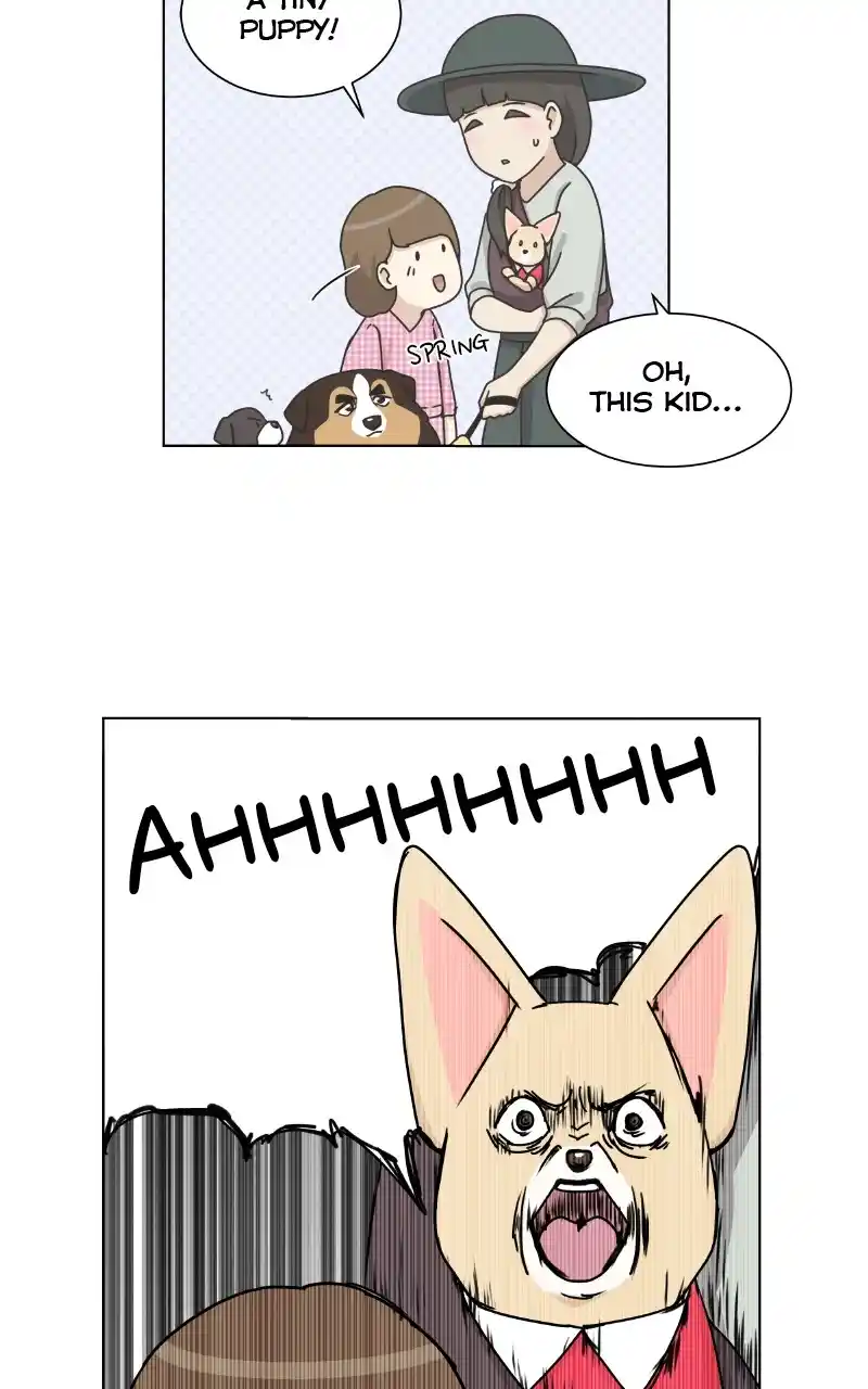 The Dog Diaries Chapter 89