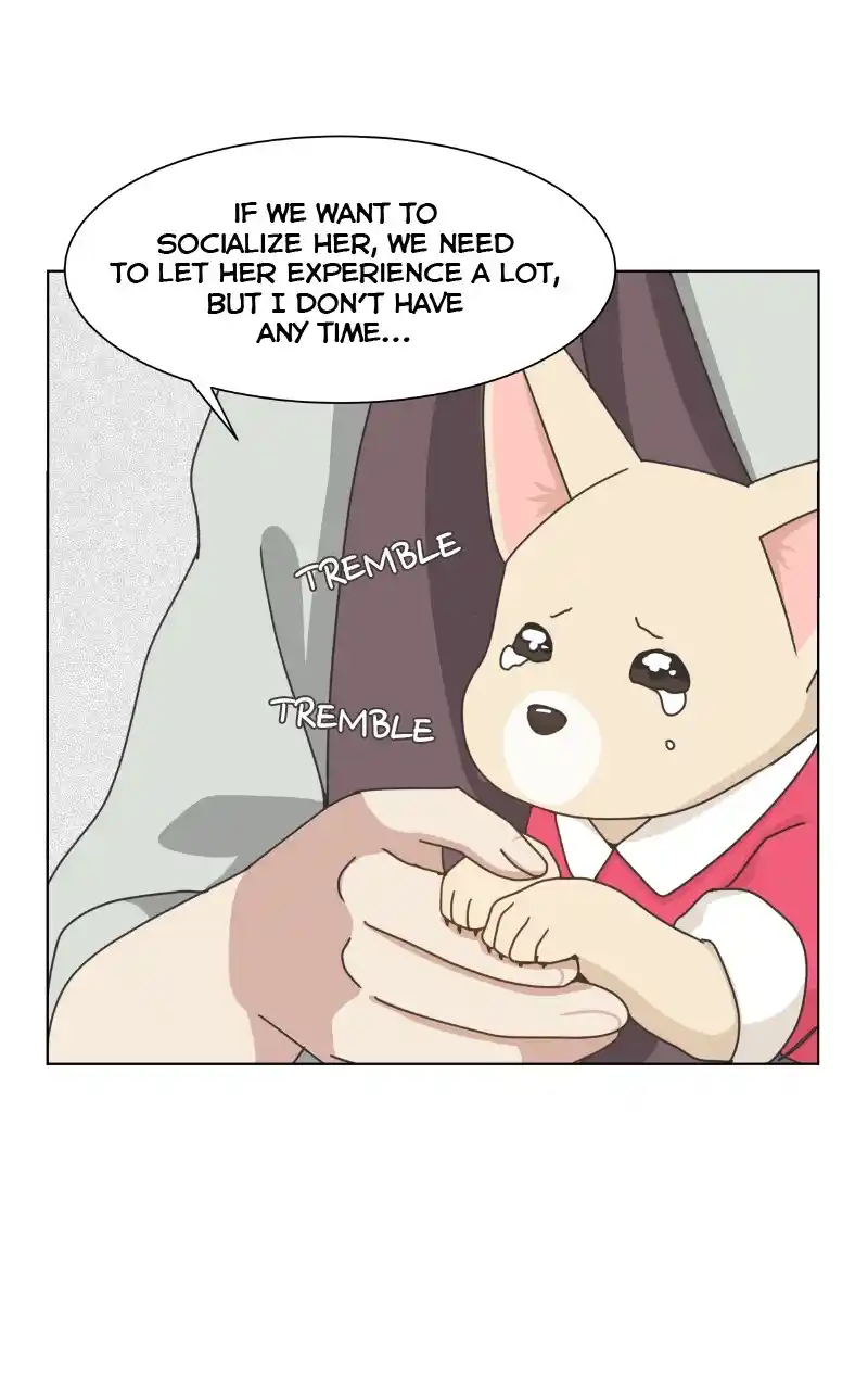 The Dog Diaries Chapter 89