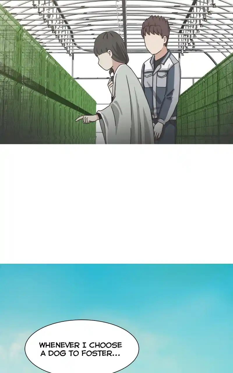 The Dog Diaries Chapter 89