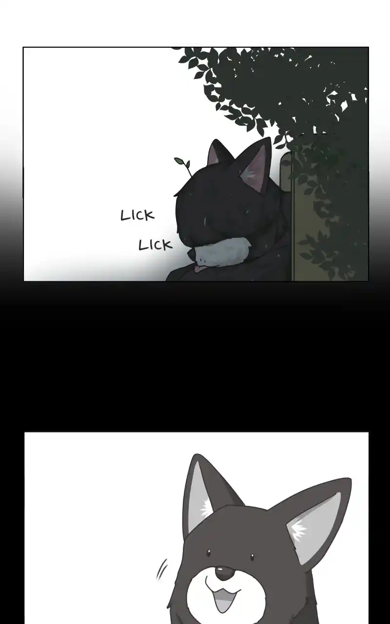 The Dog Diaries Chapter 89