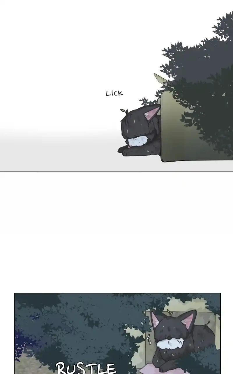 The Dog Diaries Chapter 89