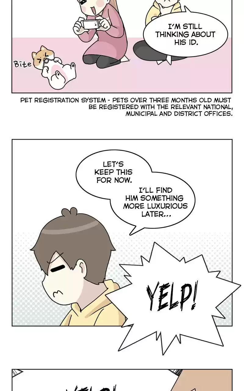 The Dog Diaries Chapter 9